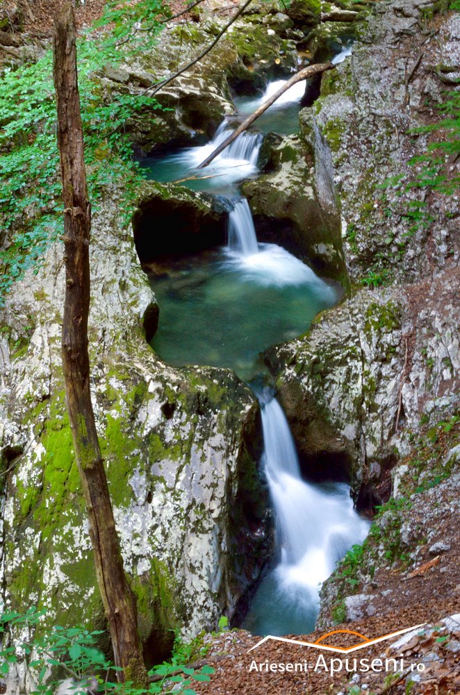 Cheile Galbenei